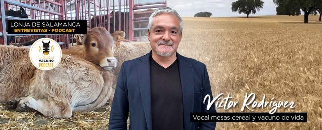 Lonja de Salamanca, entrevista con Víctor Rodríguez, vocal de las mesas de cereal y de vacuno de vida