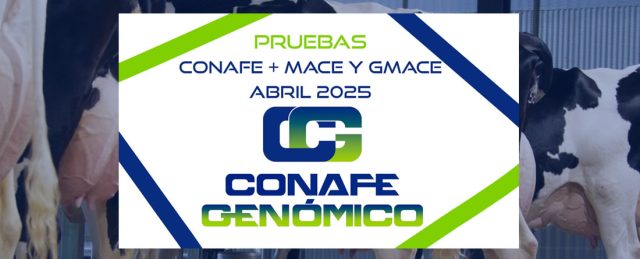 Actualización de las pruebas genómicas nacionales de Machos y Hembras de Raza Frisona y pruebas MACE y GMACE Abril 2025