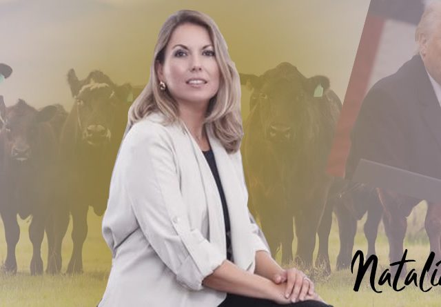 La “oportunidad” de Europa de impulsar su mercado común como respuesta a los aranceles de Trump