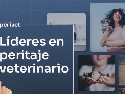 Nace PERIVET ONE HEALTH con el compromiso de consolidar el peritaje veterinario en España