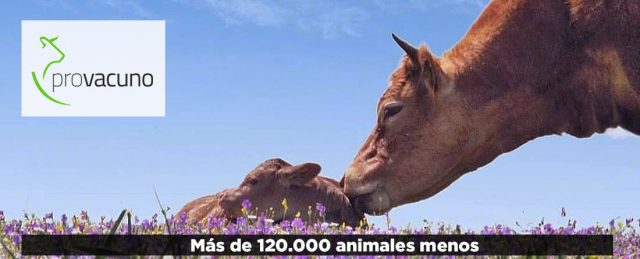 La Unión Europea pierde un millón de vacas en el último año Provacuno