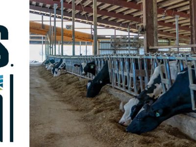 Nueve de cada 10 españoles cree que la España urbana no reconoce el esfuerzo de agricultores y ganaderos