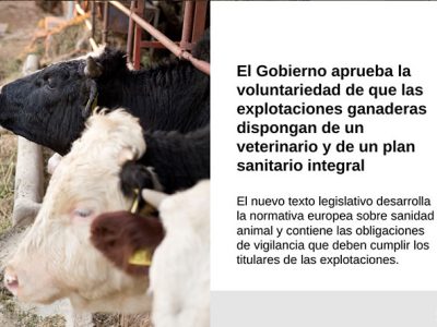 El Gobierno aprueba la voluntariedad de que las explotaciones ganaderas dispongan de un veterinario y de un plan sanitario integral