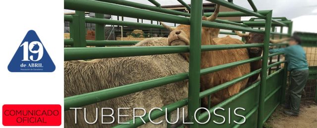 Salamanca mejora sus datos de tuberculosis bovina, mientras Zamora empieza a preocupar