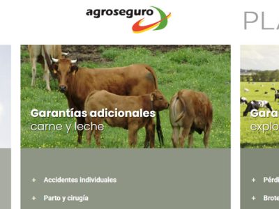 Agroseguro presenta el Plan 2025 de seguros pecuarios