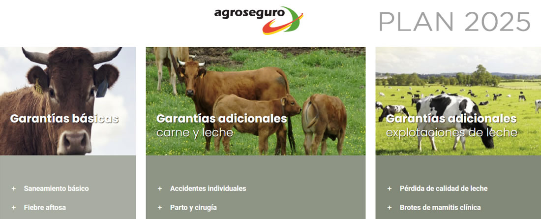 Agroseguro presenta el Plan 2025 de seguros pecuarios