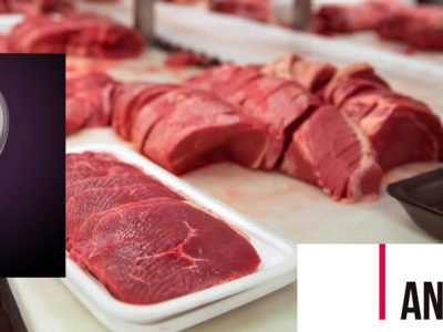 Pérdidas de hasta 190 millones de euros para la industria cárnica tras el apagón