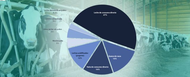 Baja el censo de vacas en mayo de 2025 y el consumo de leche al frente en la producción del sector del vacuno lechero