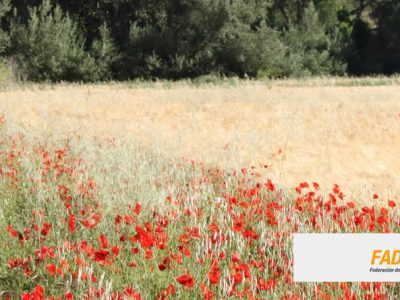 FADEMUR forma en riesgos y seguros a agricultoras y ganaderas dentro del programa Plan Allen Rural