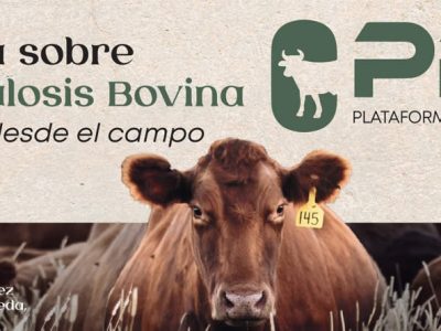 Jornada sobre Tuberculosis Bovina: Una visión desde el campo y la ciencia