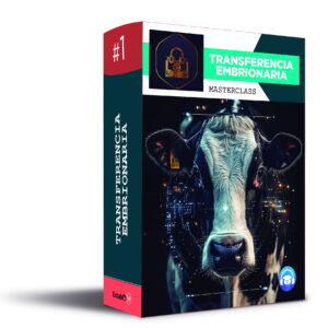 Transferencia Embriones Plan Repro 1