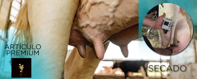 Estrategias de secado en vacas lecheras: evaluación