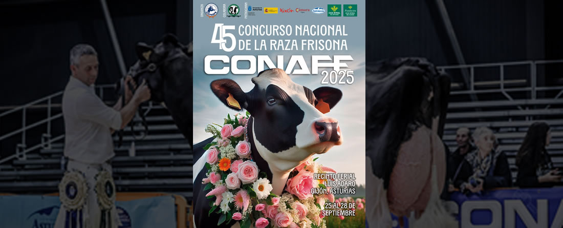 Cartel, cédula de inscripción y reglamento del Concurso Nacional de Raza Frisona CONAFE 2025