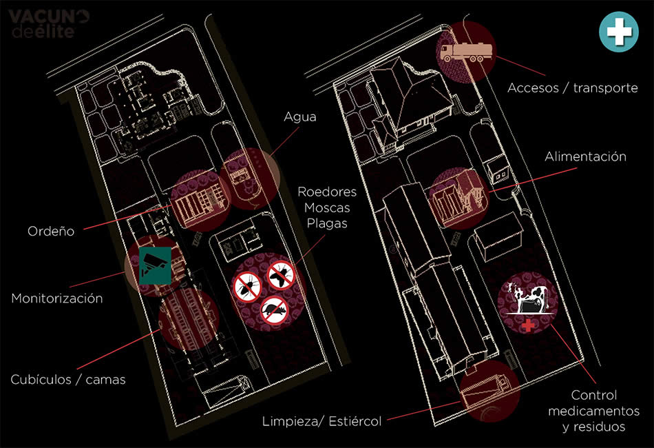 Área de bioseguridad del vacuno lechero y del vacuno de carne
