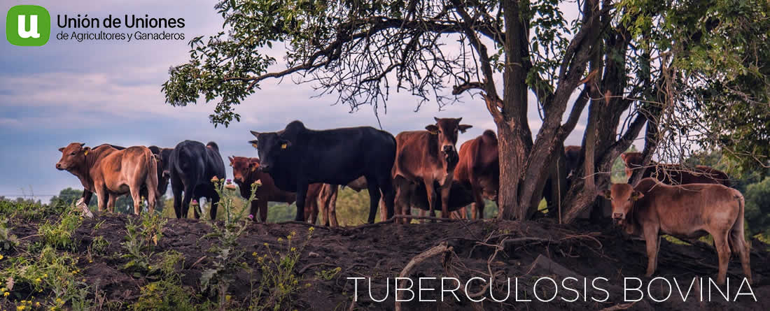 Unión de Uniones considera una falta de respeto que el Ministerio ventile el tema de la tuberculosis bovina con 10 minutos al año