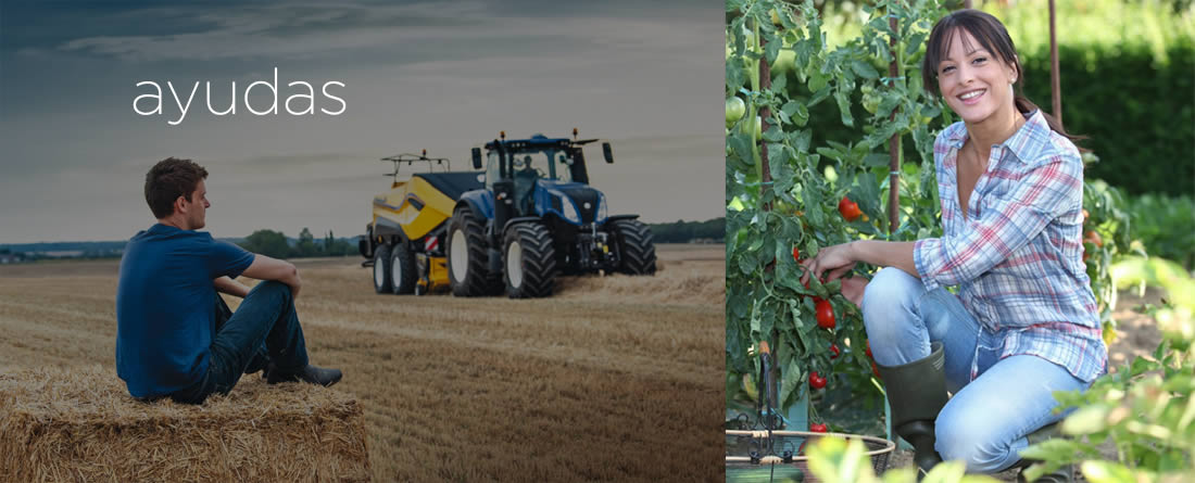 El Ministerio de Agricultura, Pesca y Alimentación concede 4,5 millones de euros en ayudas a 382 jóvenes agricultores