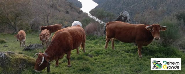 Dehesa grande reivindica el papel clave del cooperativismo en el futuro del campo salmantino