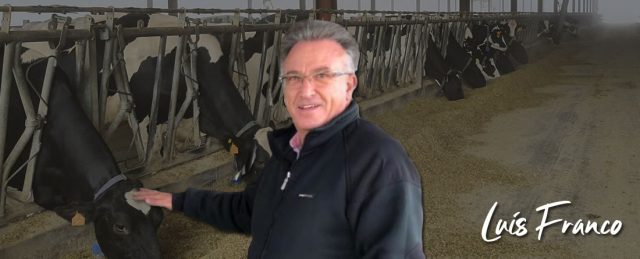 Los buenos resultados productivos y económicos en vacas de leche parten siempre de una buena nutrición