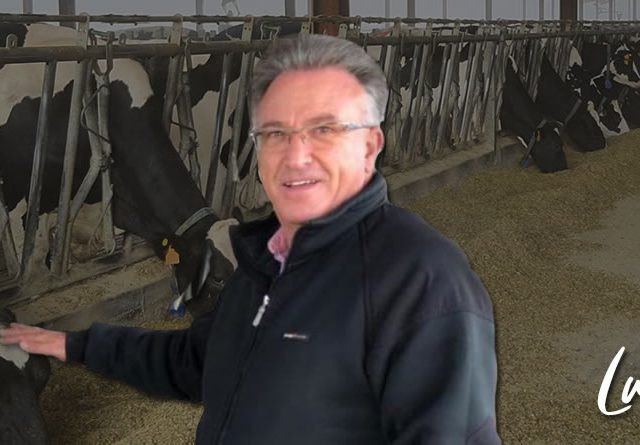 Los buenos resultados productivos y económicos en vacas de leche parten siempre de una buena nutrición