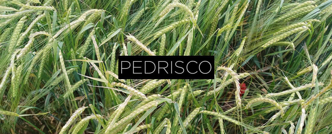 Junio de 2025 es el mes con la mayor superficie afectada por pedrisco de los últimos 10 años