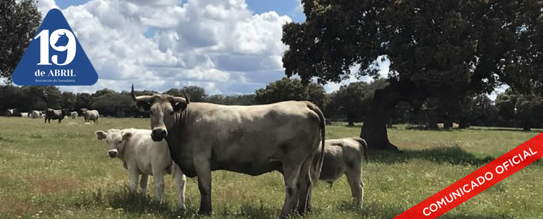 La Asociación de Ganaderos 19 de Abril valora el cese del Director General de Sanidad de la Producción Agroalimentaria y Bienestar Animal.