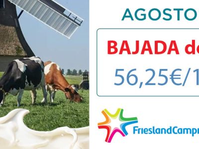 Friesland Campiña, precio garantizado de leche de vaca en granja de 56,25€ para agosto de 2025