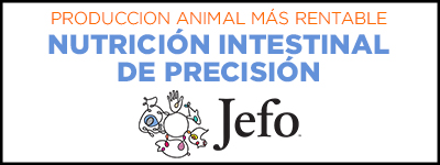 JEFO_banner_mentcorpE54