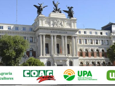 Convocadas ayudas del Ministerio de Agricultura por 4,3 millones de euros para las organizaciones profesionales agrarias más representativas