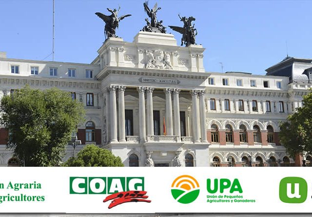 Convocadas ayudas del Ministerio de Agricultura por 4,3 millones de euros para las organizaciones profesionales agrarias más representativas