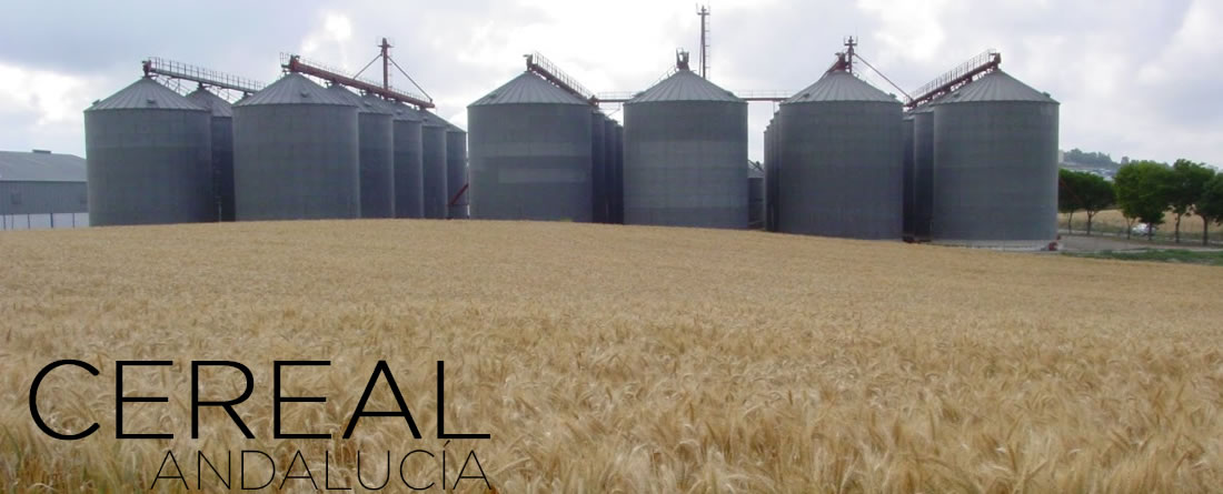 El cereal andaluz continúa encadenado a la crisis pese a una cosecha media-alta