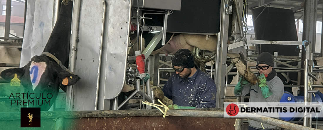 Dermatitis digital en vacuno lechero: causas, clínica y opciones de tratamiento