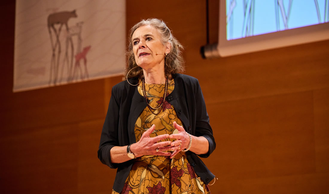 Medio millar de expertos internacionales en ciencia y tecnología de la carne se reúnen en Girona para debatir sobre el futuro del sector