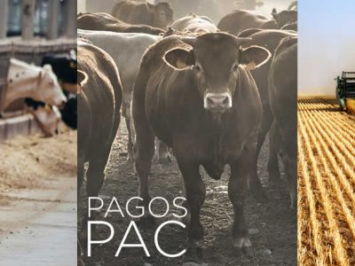 El ministerio destina 100 millones adicionales de ayudas directas de la PAC