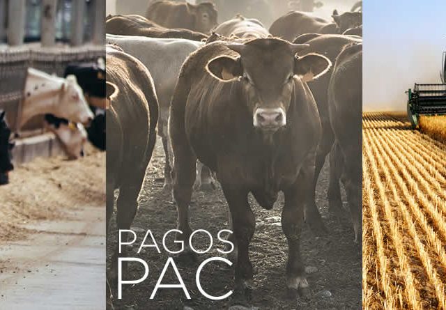 El ministerio destina 100 millones adicionales de ayudas directas de la PAC