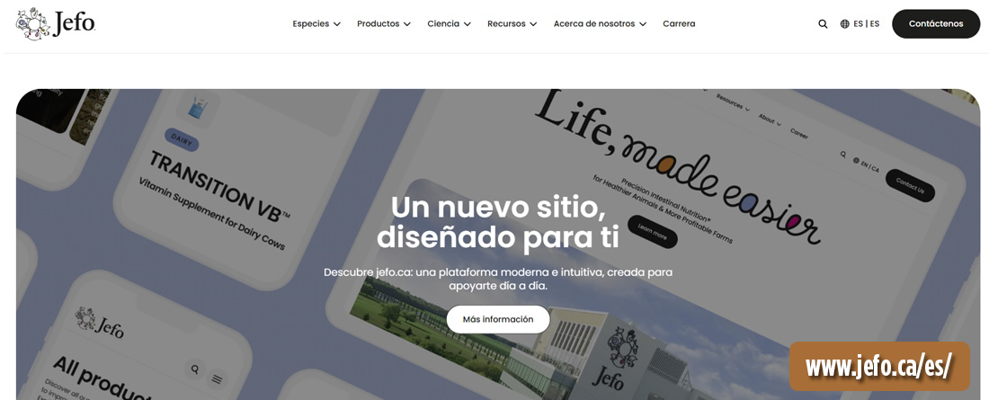 Jefo Nutrition lanza un nuevo sitio web para servir mejor a los profesionales de la nutrición animal en todo el mundo