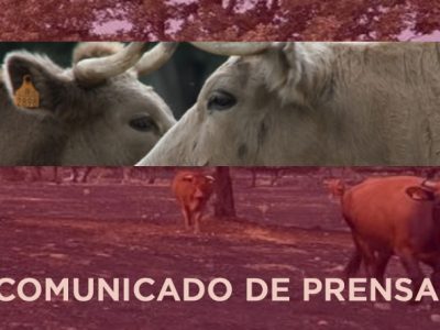 La Asociación de Ganaderos 19 de Abril valora las ayudas para inversiones no productivas, pero las considera insuficientes y de difícil aplicación en algunos casos