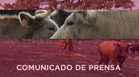La Asociación de Ganaderos 19 de Abril valora las ayudas para inversiones no productivas, pero las considera insuficientes y de difícil aplicación en algunos casos