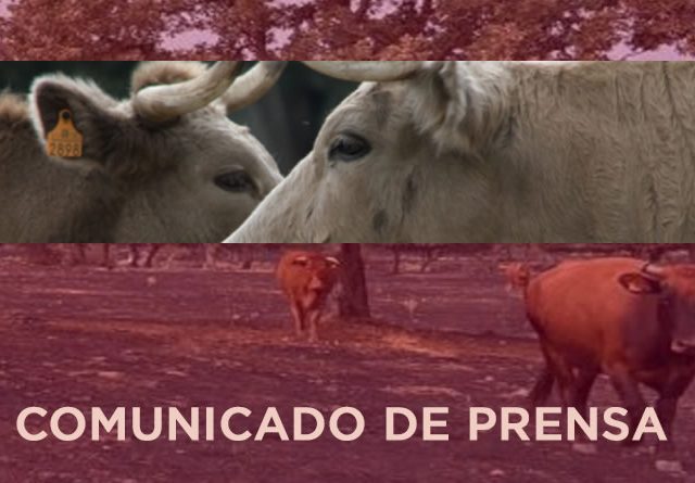 La Asociación de Ganaderos 19 de Abril valora las ayudas para inversiones no productivas, pero las considera insuficientes y de difícil aplicación en algunos casos