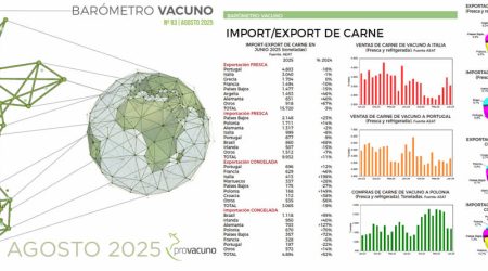 PROVACUNO publica el Barómetro Vacuno para Agosto 2025