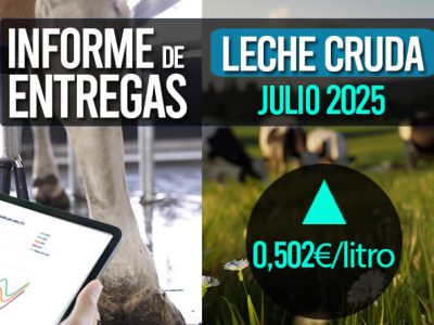 El precio medio de la leche cruda de julio 2025 sube a 0,502€/litro