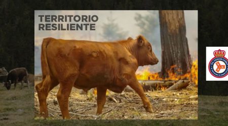 RFEAGAS presenta una Estrategia para un Territorio Resiliente