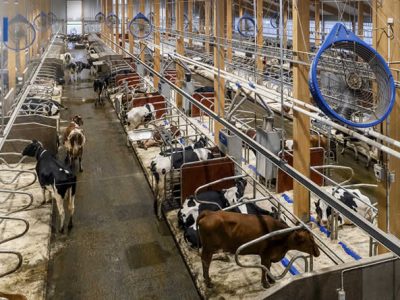La ampliación de Hamra Farm marca una nueva era para la innovación de DeLaval
