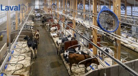 La ampliación de Hamra Farm marca una nueva era para la innovación de DeLaval