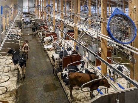 La ampliación de Hamra Farm marca una nueva era para la innovación de DeLaval