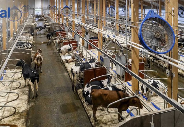 La ampliación de Hamra Farm marca una nueva era para la innovación de DeLaval