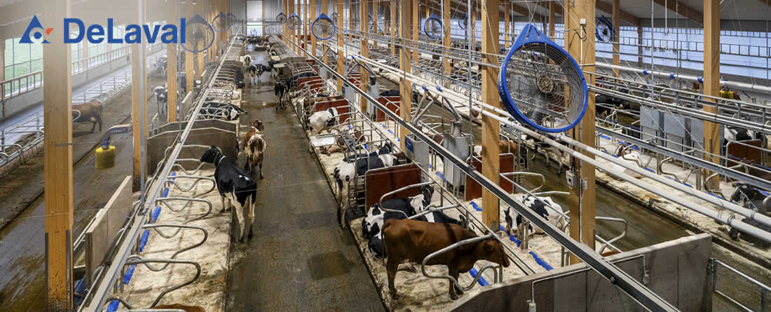 La ampliación de Hamra Farm marca una nueva era para la innovación de DeLaval
