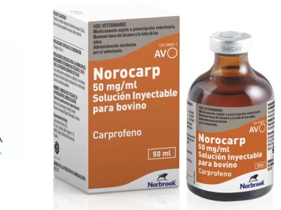 Norocarp 50 mg/ml para bovino, de nuevo disponible en ALIVIRA