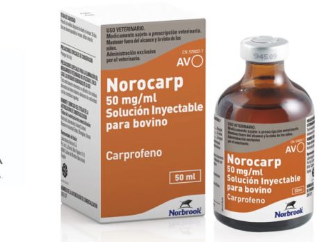 Norocarp 50 mg/ml para bovino, de nuevo disponible en ALIVIRA