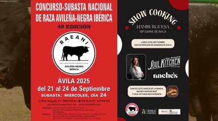 Lista la 49 Feria de la Raza Avileña – Negra Ibérica en Ávila: fechas, programa y subasta.