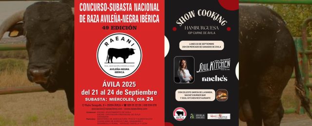 Lista la 49 Feria de la Raza Avileña – Negra Ibérica en Ávila: fechas, programa y subasta.